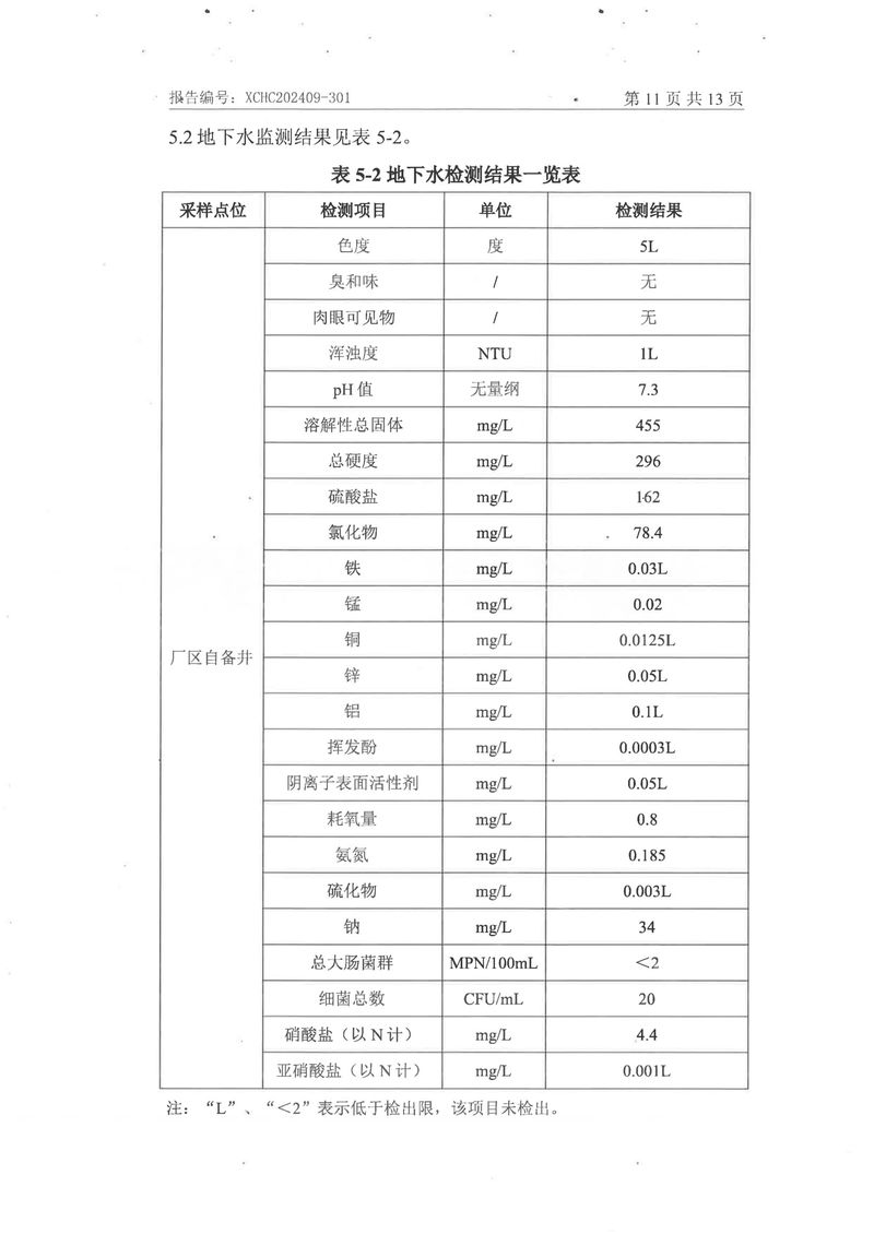 2024土壤地下水檢測報(bào)告-13
