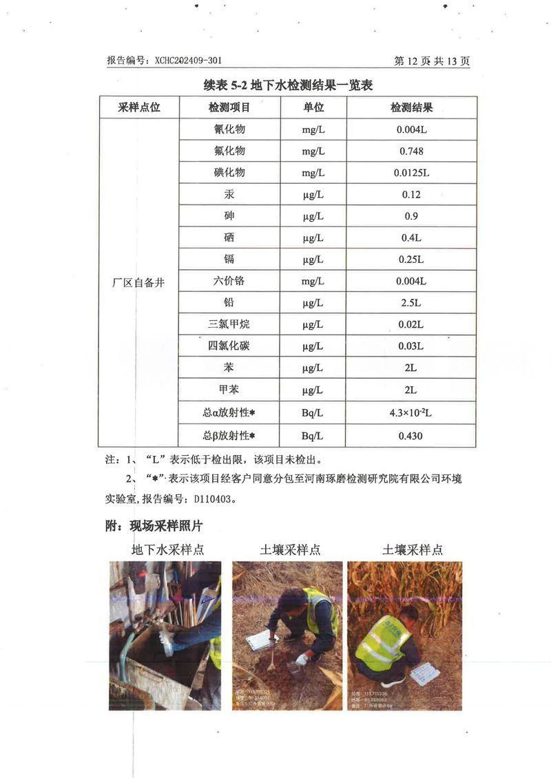 2024土壤地下水檢測報(bào)告-14